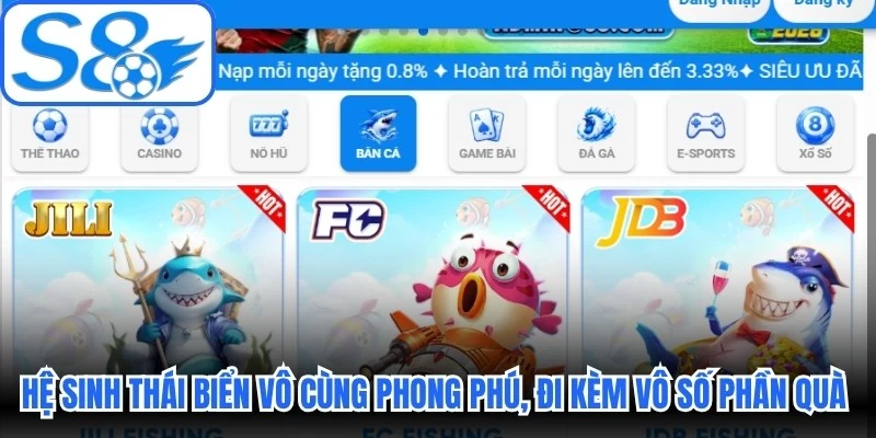 Hệ sinh thái biển vô cùng phong phú, đi kèm vô số phần quà hấp dẫn